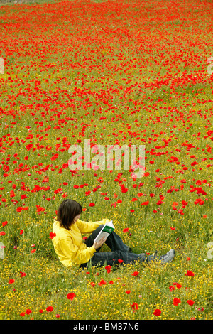 Lesen Sie ein Buch in einem Mohn-Feld. Stockfoto