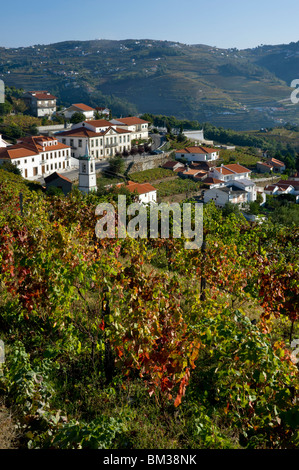 Portugal, Alto Douro Bezirk, ein Dorf und Weinberge In der Douro-Tal in der Nähe von Régua Stockfoto