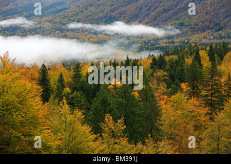 Herbst Nebel über dem Bohinj Tal in der Nähe von Ribcev Laz, Gorenjska, Slowenien Stockfoto