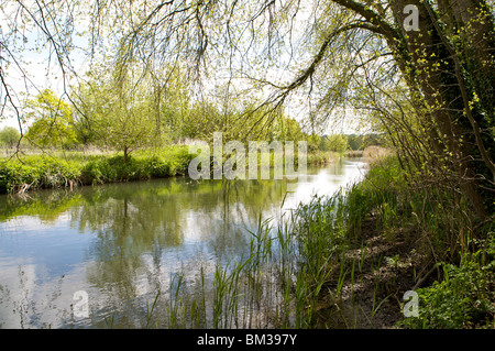 Blick auf den Fluß Nadder am Rande von Harnham Auen Stockfoto