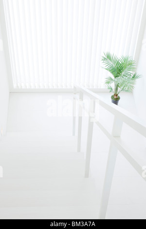 Treppe, Geländer und Topfpflanze Stockfoto