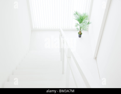 Treppe und Geländer Stockfoto