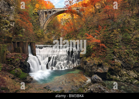 Blick vom Weg entlang Vintgar-Schlucht in der Nähe von Bled in Oberkrain. Slowenien Stockfoto