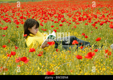 Lesen Sie ein Buch in einem Mohn-Feld. Stockfoto