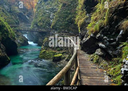 Blick vom Weg entlang Vintgar-Schlucht in der Nähe von Bled in Oberkrain. Slowenien Stockfoto