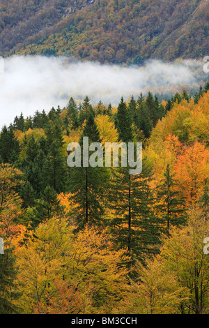 Herbst Nebel über dem Bohinj Tal in der Nähe von Ribcev Laz, Gorenjska, Slowenien Stockfoto