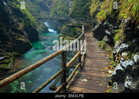 Blick vom Weg entlang Vintgar-Schlucht in der Nähe von Bled in Oberkrain. Slowenien Stockfoto