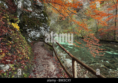 Blick vom Weg entlang Vintgar-Schlucht in der Nähe von Bled in Oberkrain. Slowenien Stockfoto