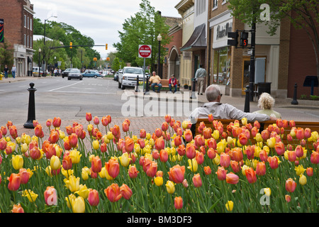 Ein älteres Ehepaar, die entspannend auf die Bank Stadtstraße in Holland Michigan mit Tulpen im Vordergrund niedrigen Winkel