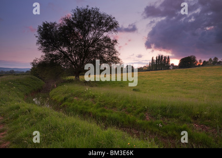 Am späten Abend neben Durleigh Bach am Rande der Meads in der Nähe von Bridgwater. Stockfoto