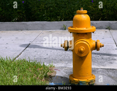 amerikanische Schlauch Hydranten, städtischen Feuer-Prävention-Ausrüstung Stockfoto