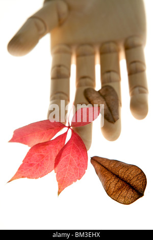 Puppe aus Holz Hand hält Herbst Blätter Stockfoto