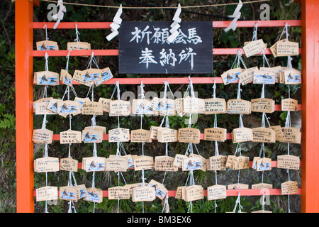 Omikuji-Nachrichten auf einem japanischen Shinto-Schrein, Asien. Stockfoto