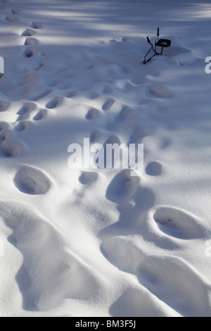 GENERISCHE FUSSABDRÜCKE IM SCHNEE: Fußabdrücke Fußabdrücke Winter schneebedeckte Tiefschatten werfen ein kühles Licht in einen vergrabenen Garten Stockfoto