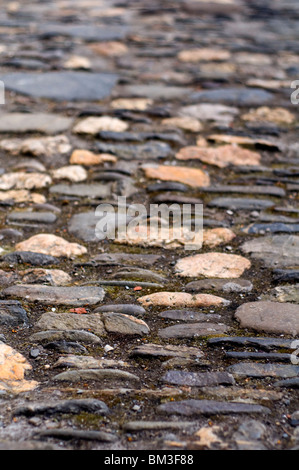 Nahaufnahme einer gepflasterten Straße in Cornwall, England, UK Stockfoto