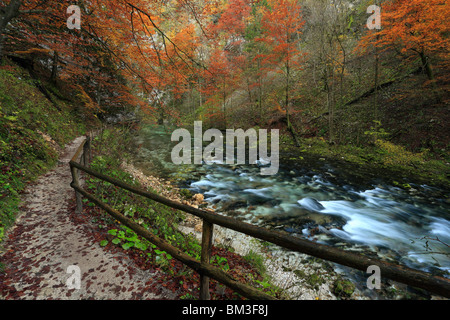 Blick vom Weg entlang Vintgar-Schlucht in der Nähe von Bled in Oberkrain. Slowenien Stockfoto