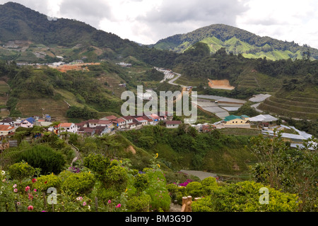 Das Dorf von Rose Valley nahe Brinchang, Malaysia. Stockfoto