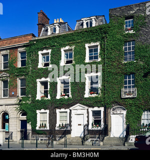 Georgische mit Efeu bewachsene Gebäude St. Stephen's Green DUBLIN IRLAND EUROPA Stockfoto