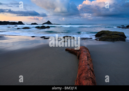 Felsküste bei Harris State Park Strand-Brookings, Oregon, USA. Stockfoto