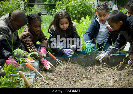 Schüler der zweiten Klasse von erfahren Sie mehr über Blumen und Bestäubung Stockfoto