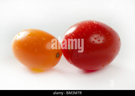 Kleine Kirsche variiert Multi Farbe Tomaten, im Studio, weißer Hintergrund Stockfoto