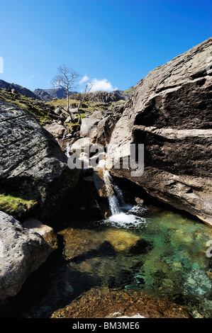 Kleiner Gebirgsbach Kaskadierung von Snowdon in Gwynedd, Nordwales. Stockfoto