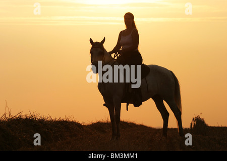 Reiter Im Raummotive / Reiterin in den Sonnenuntergang Stockfoto