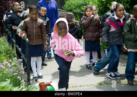 Schüler der zweiten Klasse über Blumen und Bestäubung im Stadtteil Bronx in New York Stockfoto