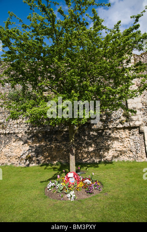 Normandie Veterans Association (NVA) Kranz unter einem Baum, Bury St Edmunds, Suffolk, UK Stockfoto