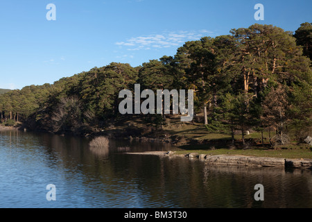 Cuerda del Pozo Dam, Vinuesa, Soria, Spanien / Embalse De La Cuerda del Pozo, Vinuesa, Soria, España Stockfoto