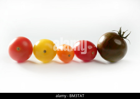 Kleine Kirsche variiert Multi Farbe Tomaten, im Studio, weißer Hintergrund Stockfoto