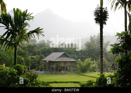 Hölzernen Stelzen-Haus und Reis-Paddy in Mai Chau Tal, Vietnam Stockfoto