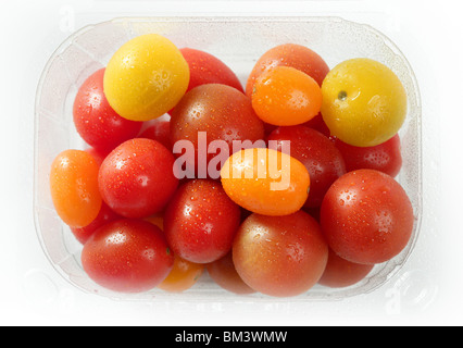 Kleine Kirsche variiert Multi Farbe Tomaten, im Studio, weißer Hintergrund Stockfoto