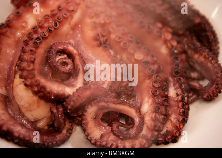 Dampf aus den letzten gekochten Tintenfisch, Meeresfrüchte Stockfoto
