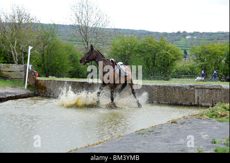 Reiter von einem Pferd ins Wasser fallen Stockfoto