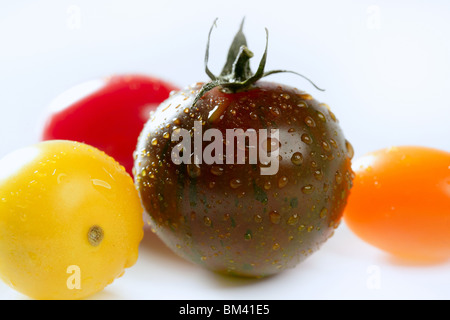 Kleine Kirsche variiert Multi Farbe Tomaten, im Studio, weißer Hintergrund Stockfoto