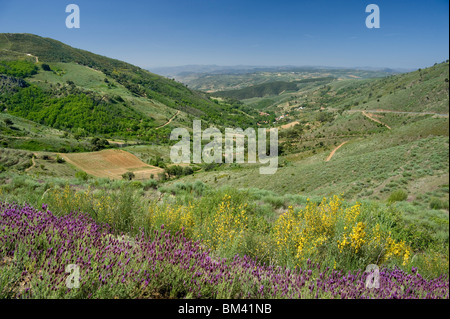 Portugal, Landschaft in der Alto Douro-Region in der Nähe von Vila Nova De Foz Coa Stockfoto