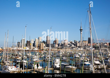 Blick über Westhaven Marina mit der Skyline der Stadt über. Auckland, Nordinsel, Neuseeland Stockfoto