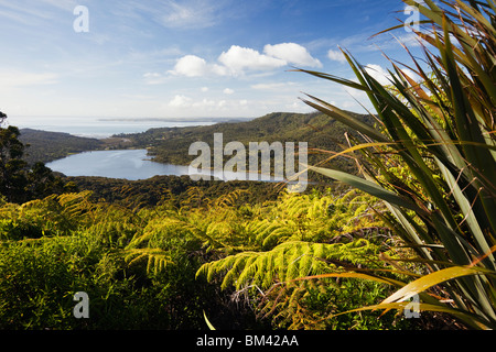 Blick auf den Waitakere Ranges Regionalpark von Arataki Besucherzentrum. Waitakere Ranges, Auckland, Nordinsel, Neuseeland Stockfoto