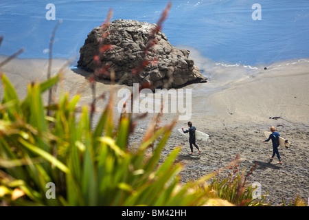 Surfer am Strand. Muriwai Beach, Auckland, Nordinsel, Neuseeland Stockfoto