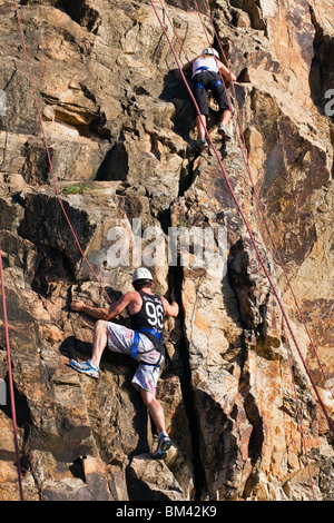 Klettern auf dem Kangaroo Point Cliffs. Brisbane, Queensland, Australien Stockfoto