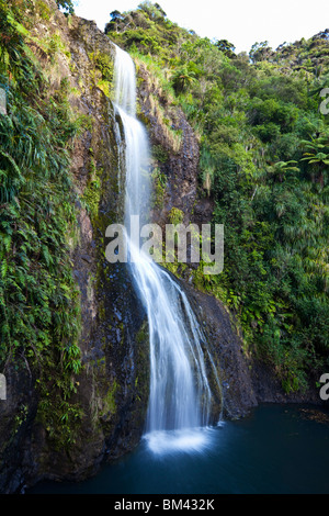 Kite Kite fällt. Piha, Waitakere Ranges Regional Park, Auckland, Nordinsel, Neuseeland Stockfoto