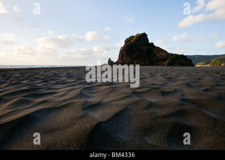 Piha Strand entlang zum Lion Rock anzeigen  Piha, Waitakere Ranges Regional Park, Auckland, Nordinsel, Neuseeland Stockfoto