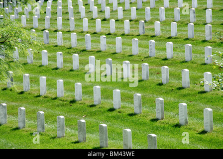 ARLINGTON, Virginia, USA – Reihen von Grabsteinen aus weißem Marmor erstrecken sich über das Gelände des Arlington National Cemetery und schaffen eine feierliche und optisch eindrucksvolle Landschaft. Diese Uniform-Grabsteine markieren die letzten Ruhestätten amerikanischer Soldaten und Frauen sowie namhafter Zivilisten. Der akribisch gepflegte Friedhof dient als mächtige Hommage an diejenigen, die den Vereinigten Staaten gedient haben, und bietet einen Ort der Erinnerung und Reflexion über die Opfer, die für die Nation gebracht wurden. Stockfoto