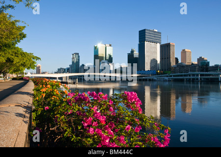 Blick auf die Skyline der Stadt von South Bank Parklands. Brisbane, Queensland, Australien Stockfoto