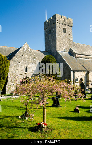 St. Illtyds Kirche, LLantwit Major, Vale of Glamorgan, Südwales. Stockfoto