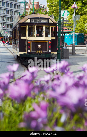 Straßenbahn auf dem Cathedral Square. Christchurch, Canterbury, Südinsel, Neuseeland Stockfoto