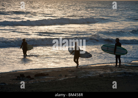 Surfer in New Brighton Beach bei Sonnenaufgang. Christchurch, Canterbury, Südinsel, Neuseeland Stockfoto