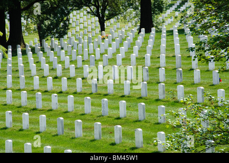 ARLINGTON, Virginia – Reihen von Grabsteinen aus weißem Marmor stehen in präziser geometrischer Ausrichtung auf dem Arlington National Cemetery. Jeder Grabstein markiert die letzte Ruhestätte eines Mitglieds des US-Militärdienstes oder eines berechtigten Familienmitglieds. Der Friedhof umfasst über 400.000 Gräber auf 639 Hektar. Stockfoto