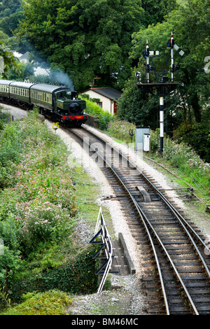 GWR 1369 Steam Train South Devon Railway (Museumsbahn) Stockfoto